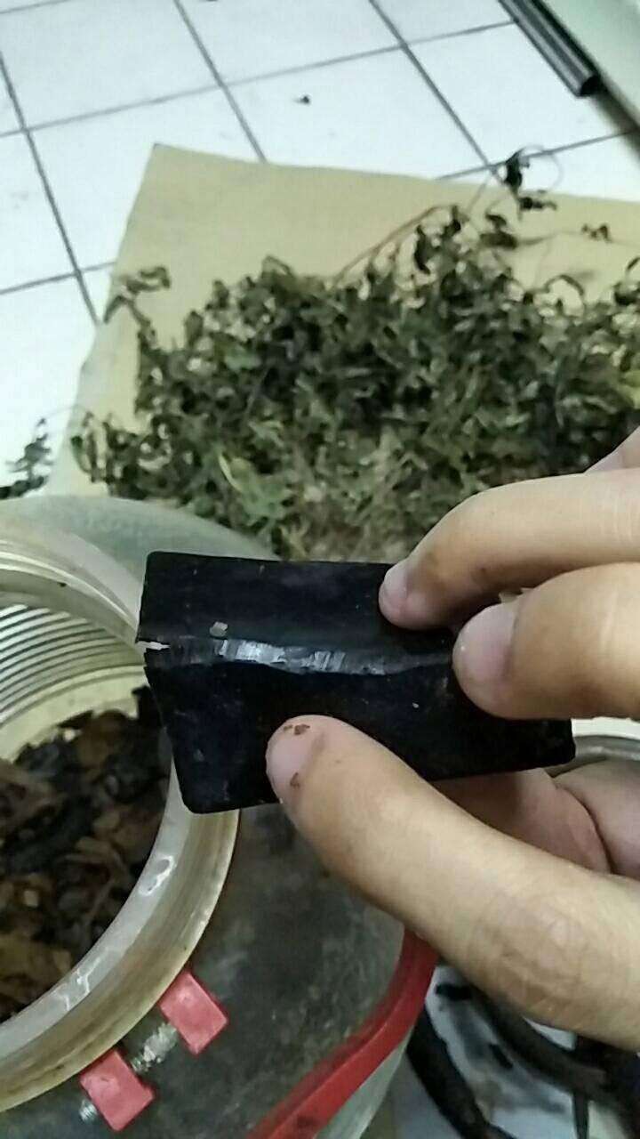 Con gái mua bình rượu thuốc đắt tiền về cho bố tẩm bổ, uống 7 năm mới phát hiện ra bò sát ngâm bên trong làm bằng nhựa